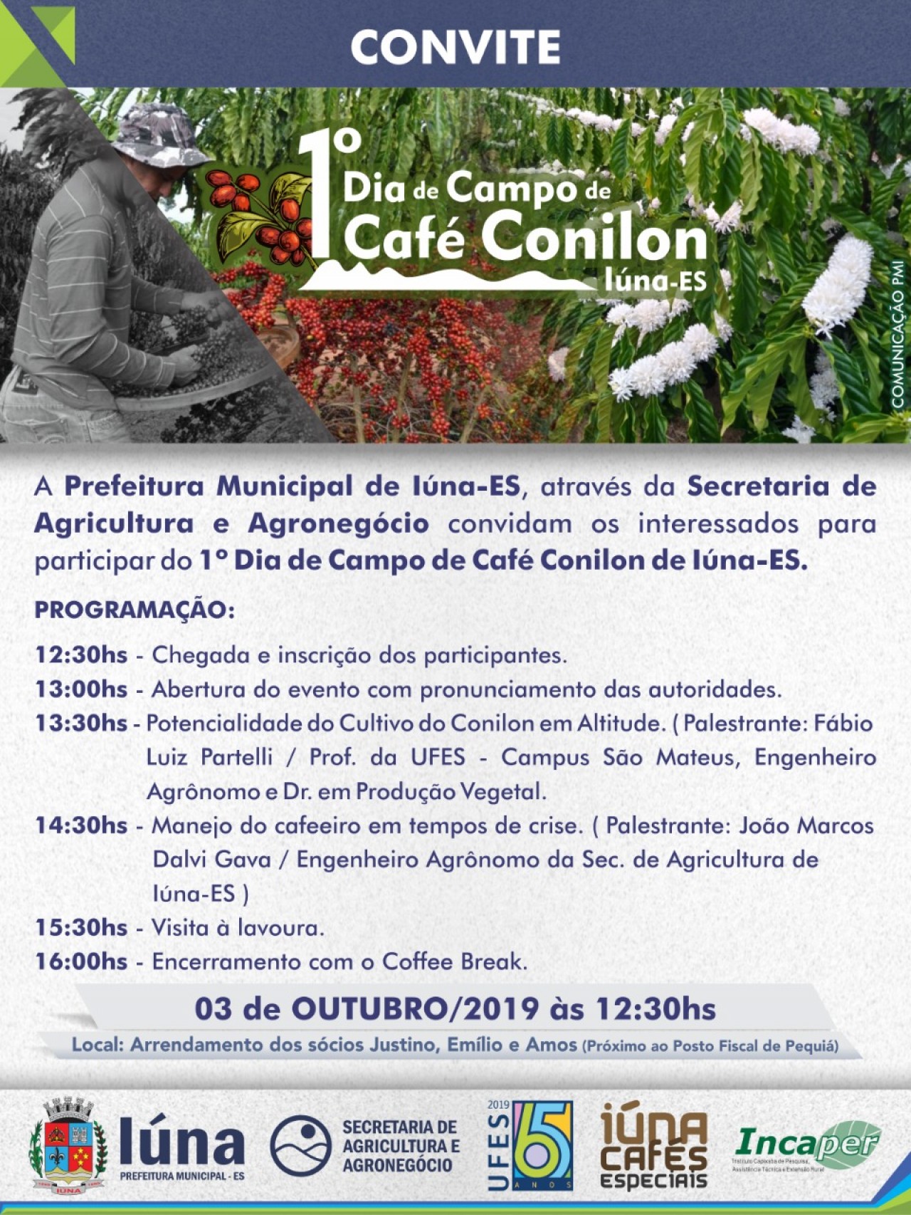 Jornal do Campo ES  Colheita do café conillon começa em breve