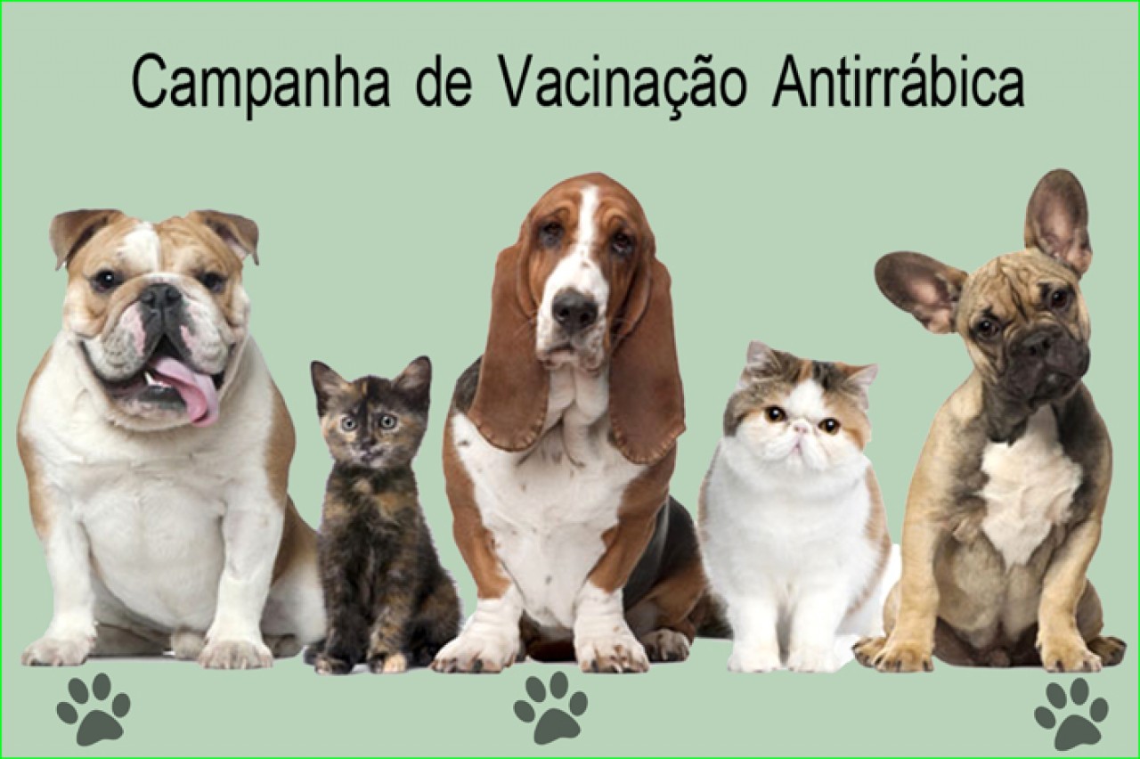 Neste sábado (26) é dia de levar o seu cão e gato para vacinar
