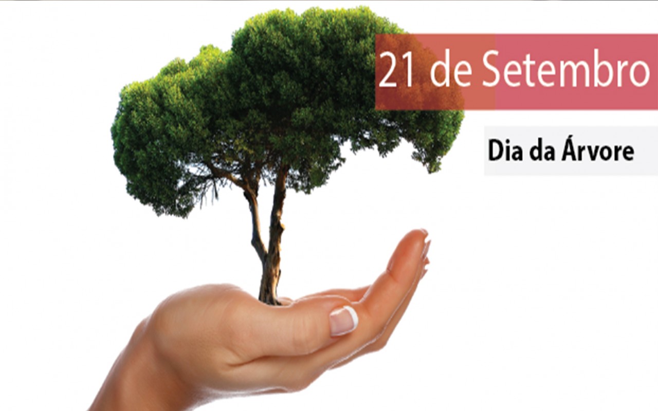 O município de Iúna irá comemorar a celebração pelo Dia da Árvore