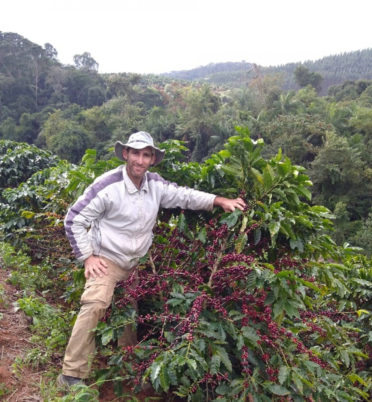 Destaque Espírito-santense: Iúna se torna a cidade nº1 em produção de café arábica