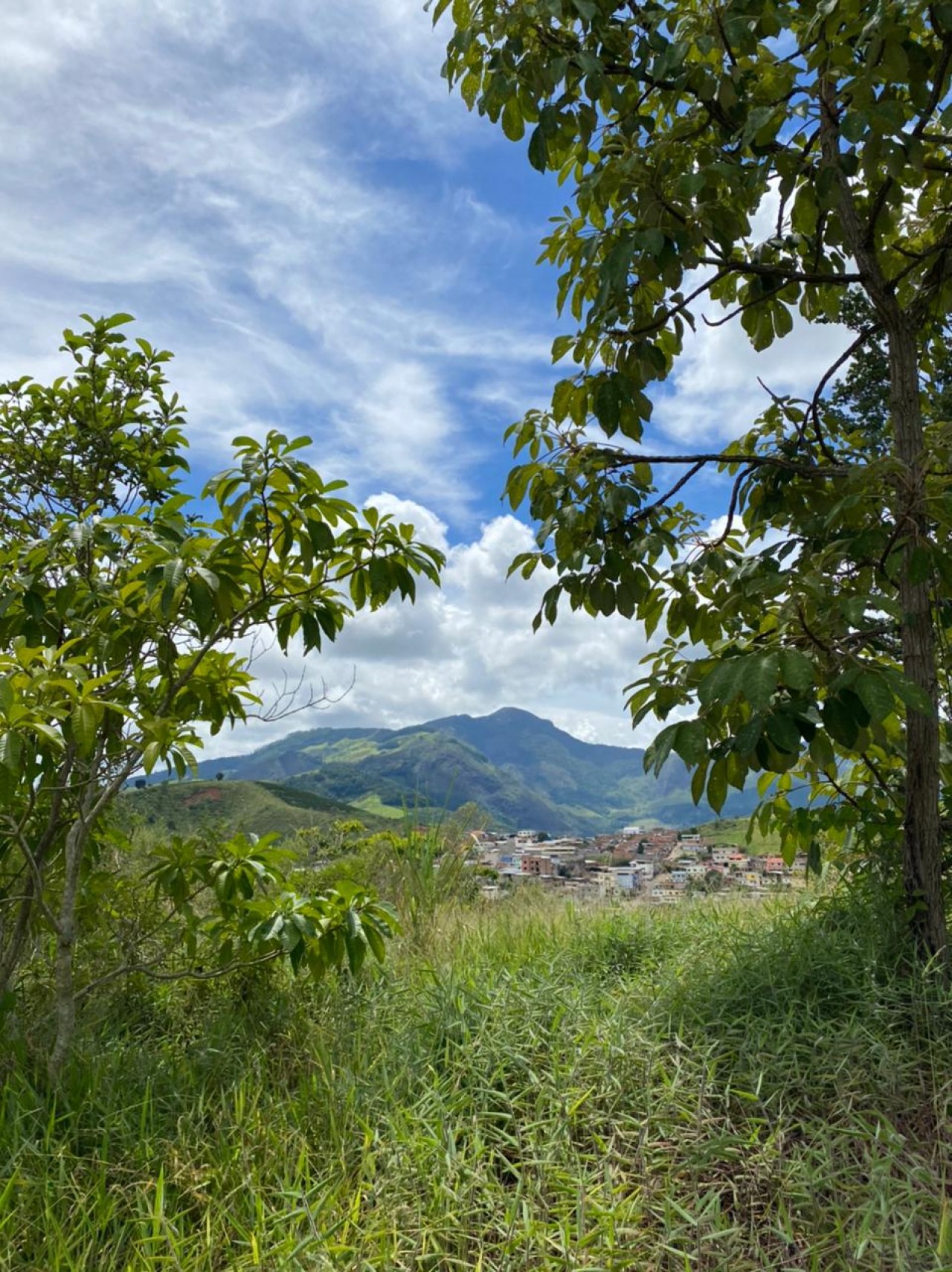 Reserva Jovelino Nunes é preparada para visitação da comunidade.