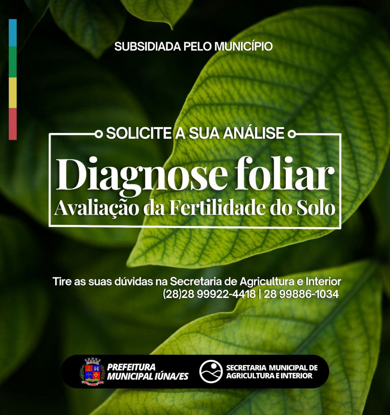 Diagnose foliar - Avaliação da Fertilidade do Solo