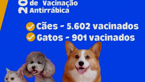 Campanha de vacinação antirrábica atinge mais de 100% da meta em Iúna
