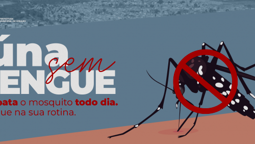 Combate à dengue continua no município