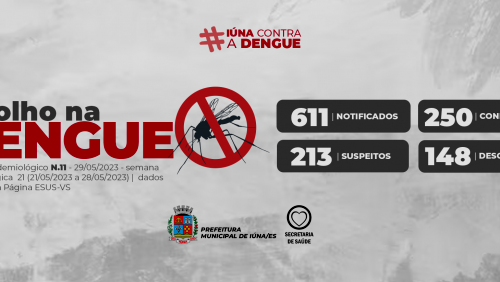Boletim epidemiológico da dengue – 29 de maio