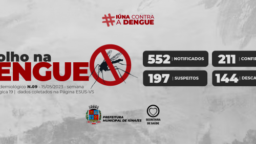 Boletim epidemiológico da dengue – 15 de maio