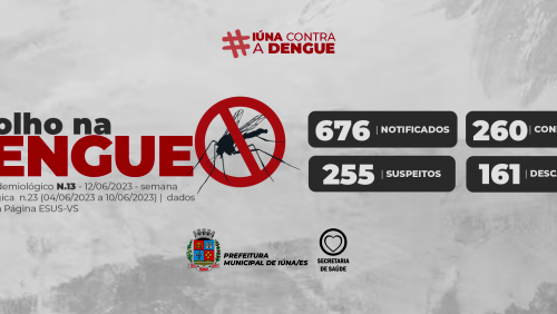 Boletim epidemiológico da dengue – 12 de junho
