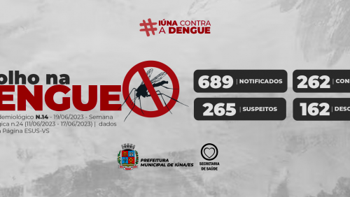 Boletim epidemiológico da dengue – 19 de junho